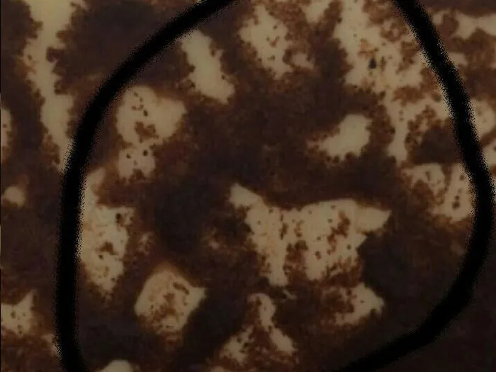 Запись на прием к гадалке в Вышнем Волочке